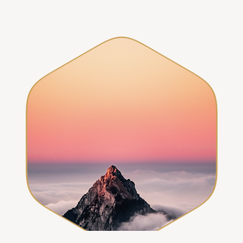 1:1 Coaching · 6 Months