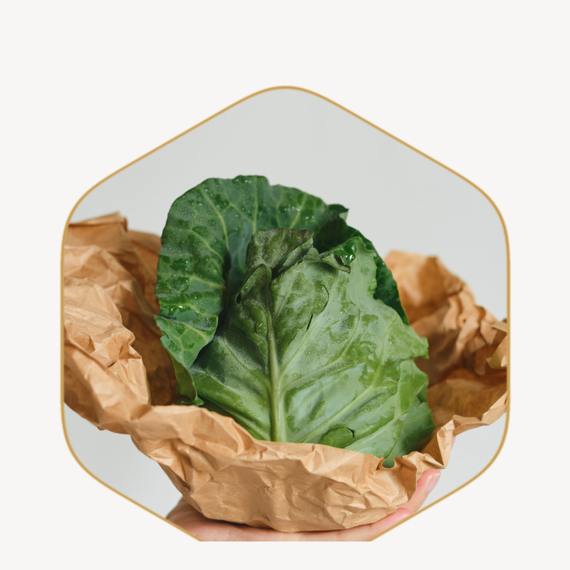 Mindful Eating Guide
