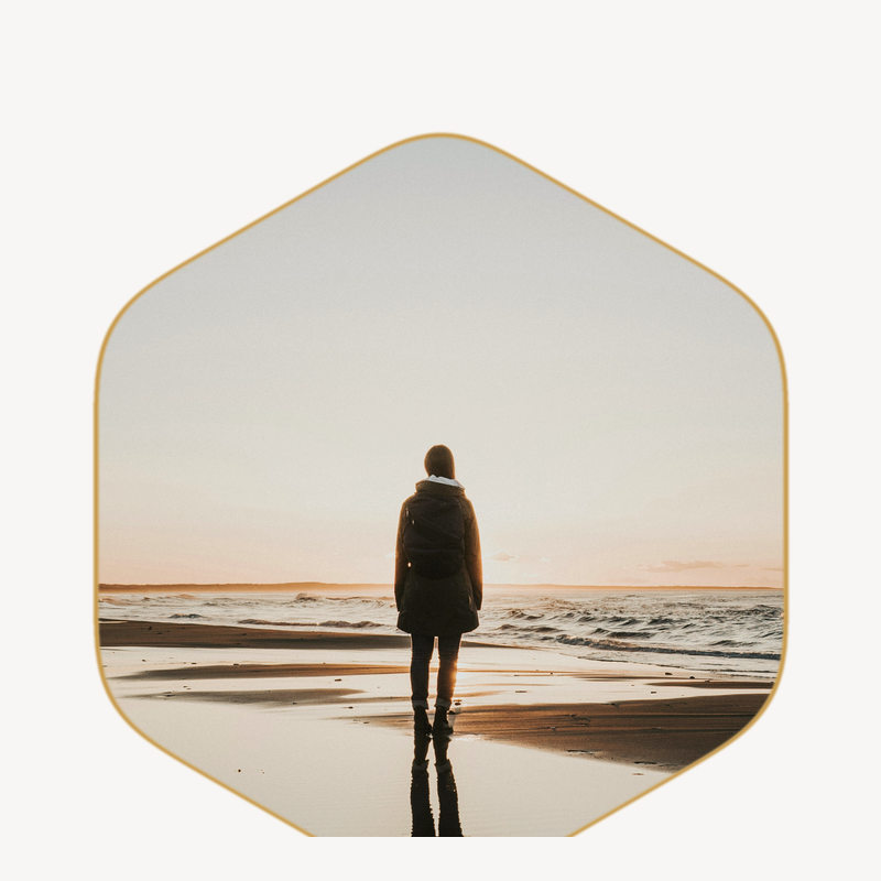 Mental Mastery Training Bootcamp