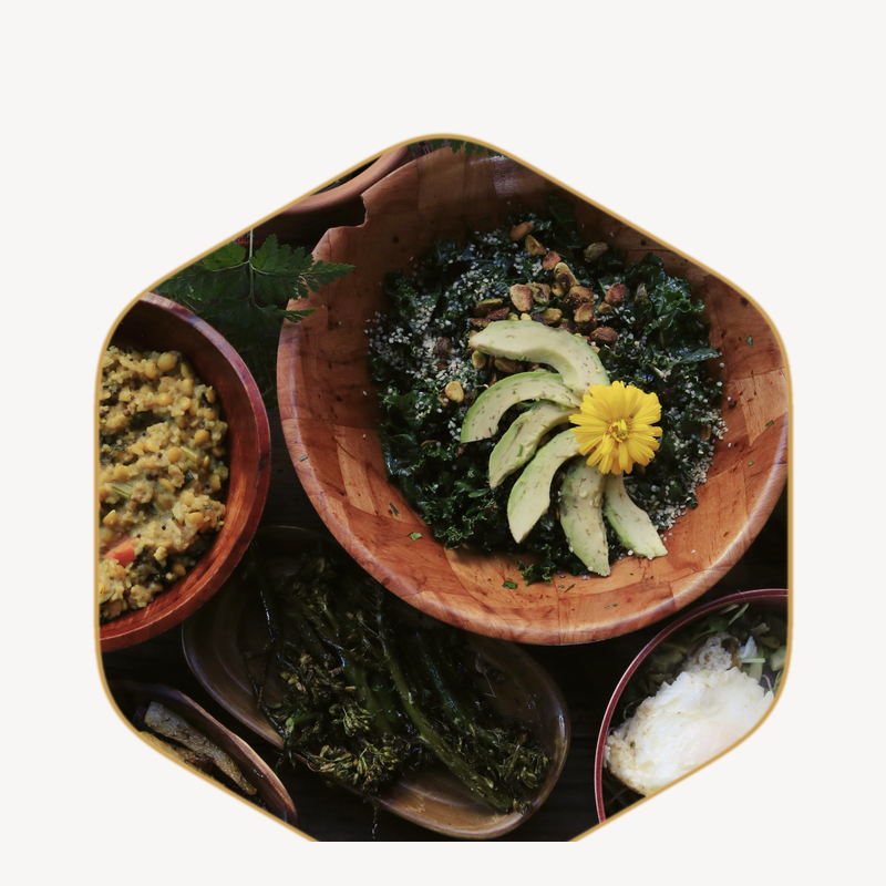 Optimal Wellness