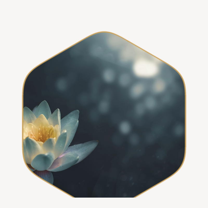 The Female Oracle: Foundation