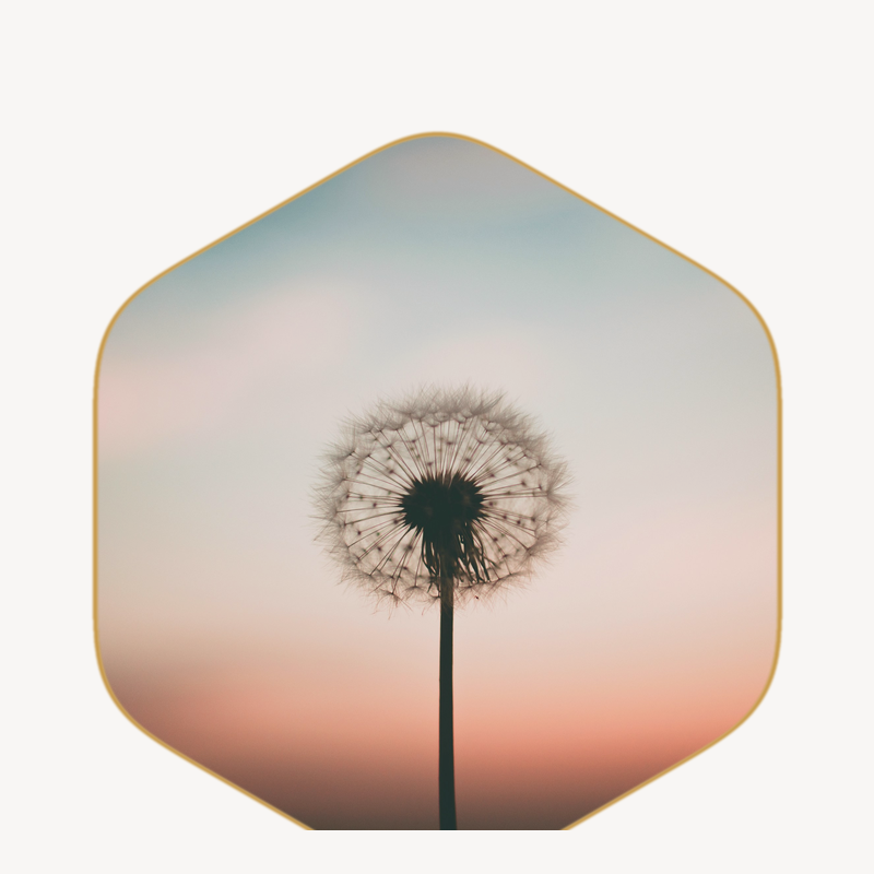 The Female Oracle: Perimenopause