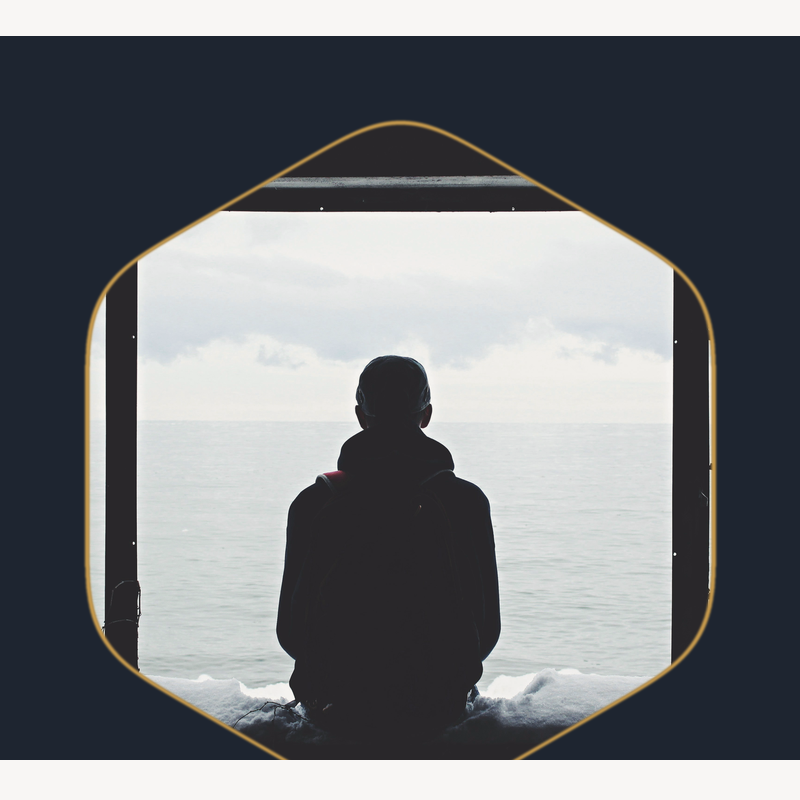 The Trader's Mind